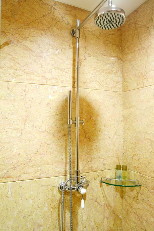 Modern Shower Design